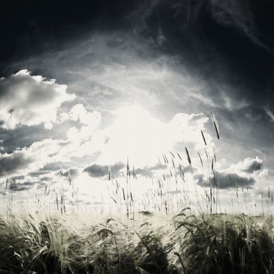 1920 x 1080 HD Wallpapers 1098